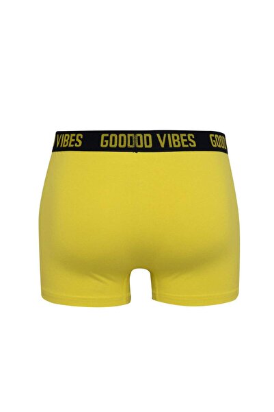 DeFacto Regular Fit Desenli 3lü Boxer C3284AX24WN