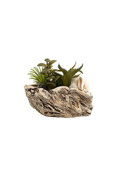 Ella Home Italia Aranjament Aloe Bunny, Verde, Plastic, 12Cm - Verde, Plastic, 12cm