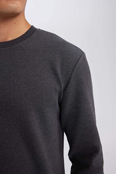 DeFacto Regular Fit Bisiklet Yaka Jakarlı Sweatshirt D5394AX24AU
