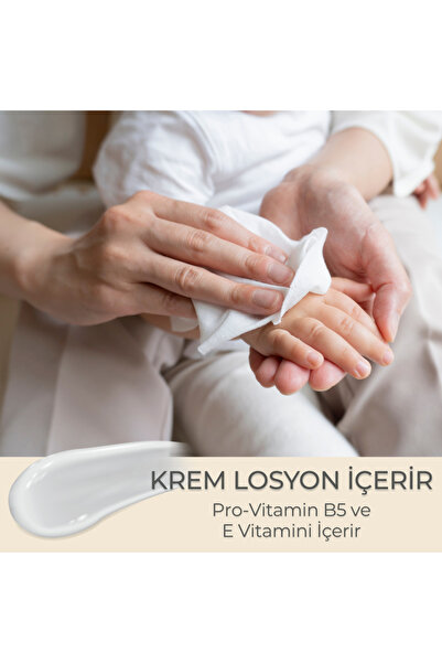 Paddlers Islak Mendil 120 X 12 Li Koli (1440 Yaprak)