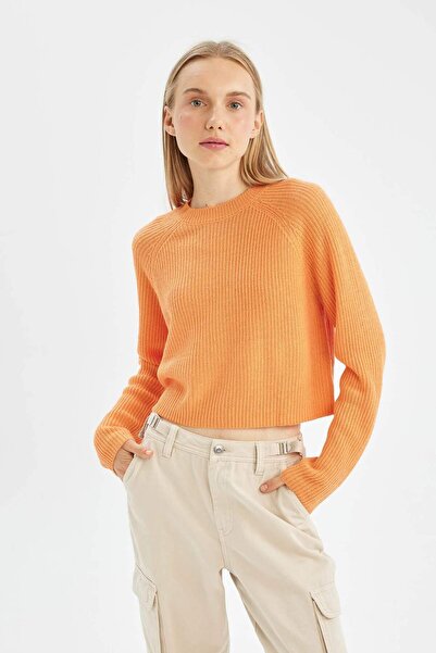 DeFacto Coool Regular Fit Crew Neck Basic Plain Knitwear Sweater L2567Az24Wn