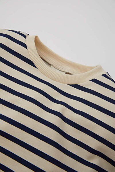 DeFacto Baby Boy Soft Furry Striped Sweatshirt - Crew Neck D0708A524Wn