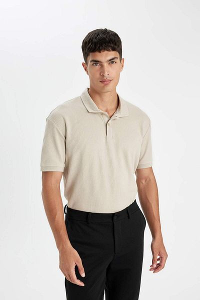 DeFacto Tricou polo cu mânecă scurtă, cu croiala normală D4814AX24SM