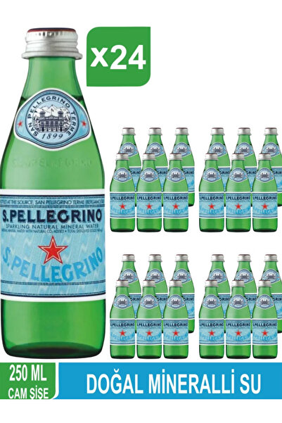 San Pellegrino San Pallegrino Doğal Mineralli Su 250 ml X 24 Adet Koli