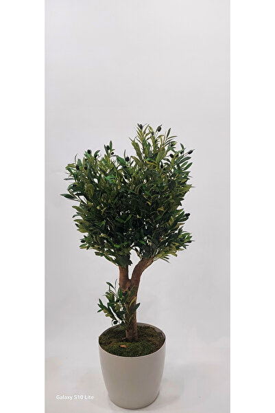 İremÇiçekçilik Plastik Yakut saksıda Zeytin ağacı - 140 cm