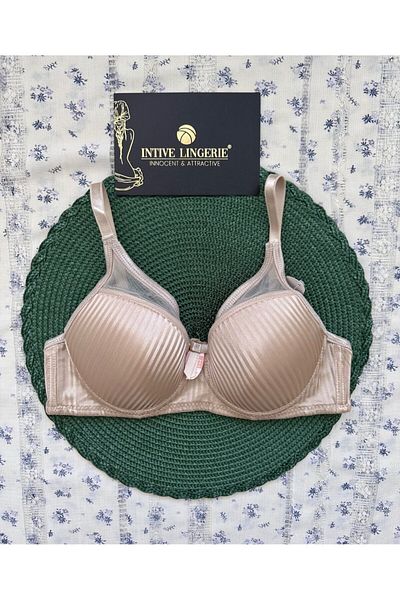 İntive Lingerie Evelyn Shiny Satin Line Detail C Cup Underwire Unpadded Stylish Bra with Tulle Detail on the Front