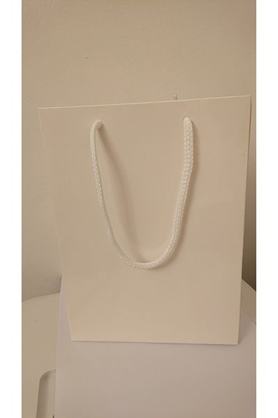 ambalajeonlineRO Sacose-pungi plastifiate albe pentru cadouri 17x10x23 cm-set 100 bucati.