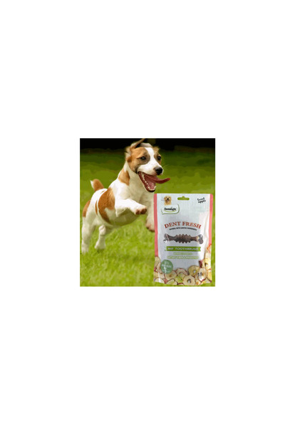 DENTALIGHT فرشاة أسنان 3 دنت فريش 360 درجة بنكهة التفاح، عبوة من 18 قطعة، 150...