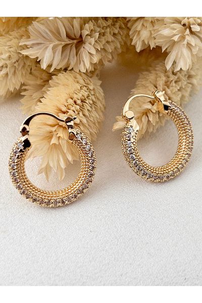 Siya Silver Special Series Zircon Stone Steel Hoop Earrings