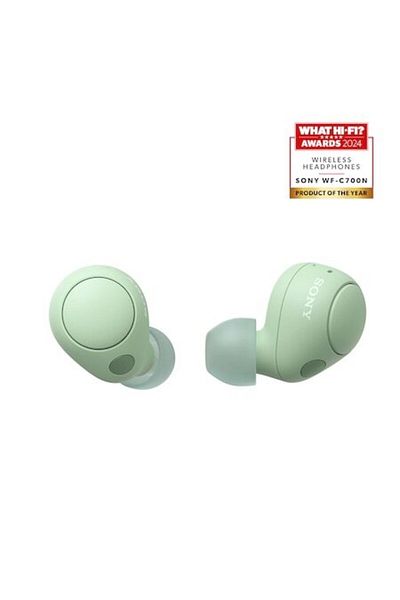 Sony Căști intraauriculare True Wireless WF-C700NG