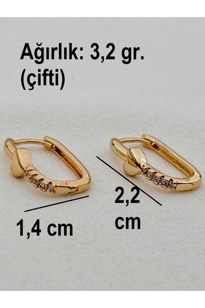 Siya Silver Zircon Stone Heart Detailed Rectangular Steel Earrings