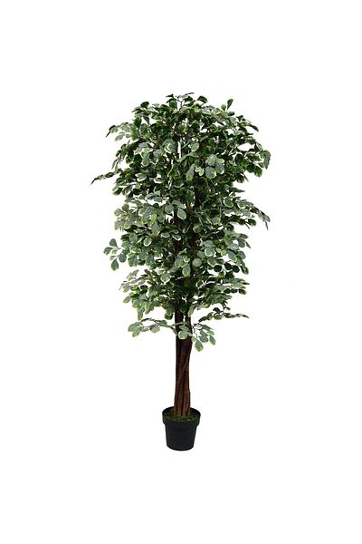 GREEN TOWN اشجار الزاميا الصناعية-180CM