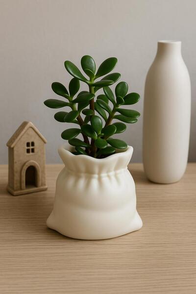 NOVATECH İNOVASYON KESE Formlu Sukulent Kaktüs Saksı