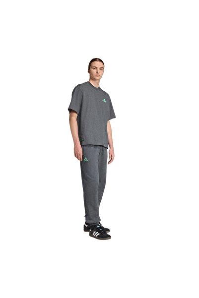 adidas Erkek Gri Eşofman Altı MER PS SWTPNT M JX8777