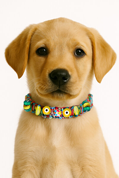 She Sells Kuçiko Çok Renkli Altın Kaplama Kaplumbağa Boncuk ve Nazarlık Detaylı Köpek Kolyesi (40 Cm)