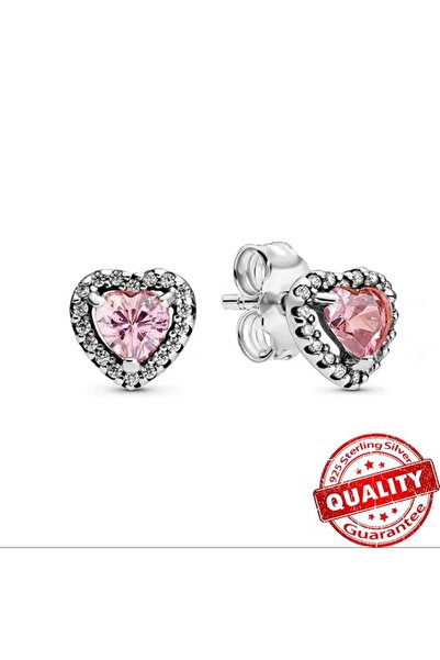 Hector&Co. Jewellery Gümüş Pembe Kalp Çivi Küpeler