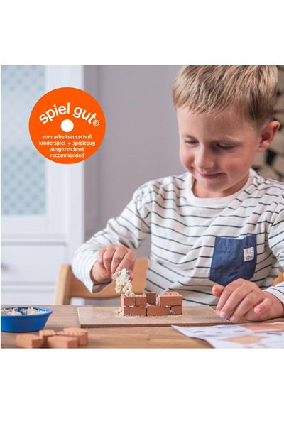 Teifoc Germany Small Family HoUSe Learning Educational Kids Toy Brick Construction Kit (35 Pieces)