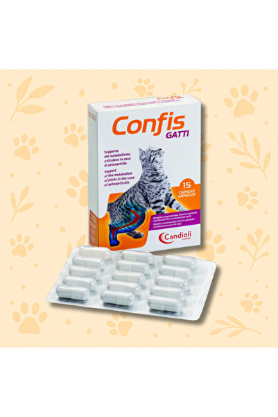 candioli CONFIS GATTI CAT
