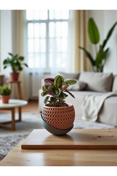 DECOROMA Desenli Saksı – Drenaj Tabağı ile Modern Tasarım