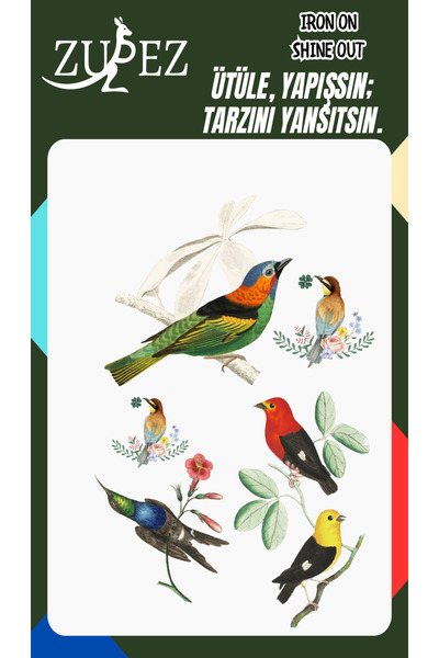 zupez Renkli Kuşlar , Birds Ütü ile Yapışan Tişört Tekstil Transfer Dtf Baskı