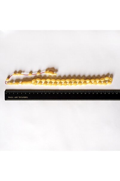 Wall Art İstanbul Miskevi Metaphor Imame Ring Crafted Ring Amber Prayer Beads – Watd009