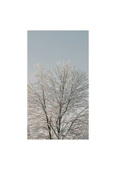 OEM Tablou Canvas, "Crengi inghetate sub cer senin", 50 x 90cm