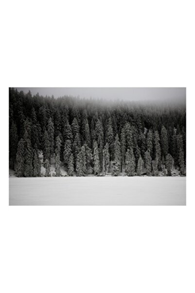 OEM Tablou Canvas, 'Padurea adormita sub mantia alba', Nor, Zapada, Padure, C...