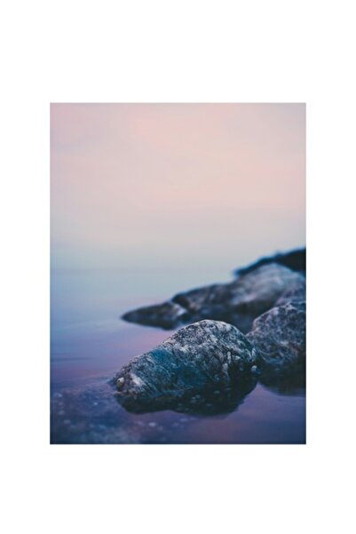 OEM Tablou Canvas, "Rocile visatoare langa apa", 50 x 70cm