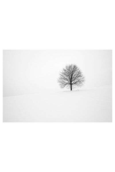 OEM Tablou Canvas, Solitar in vazduhul alb inghetat