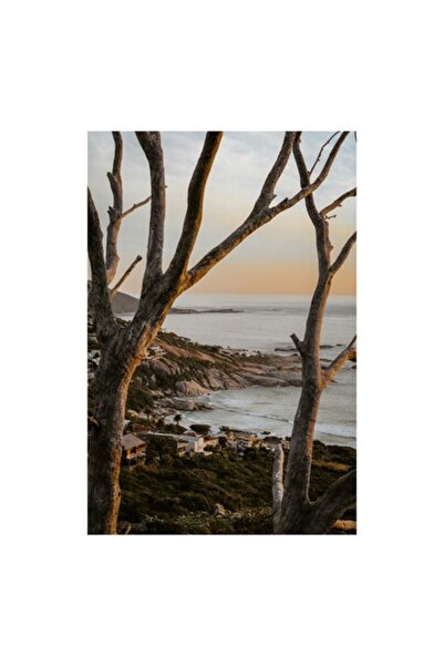 OEM Tablou Canvas, "Apus linistit pe coasta stancoasa", 50 x 50cm