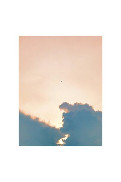 OEM Pictură pe pânză „Pasăre singuratică deasupra norilor”, Cer, Nori, Apus d...