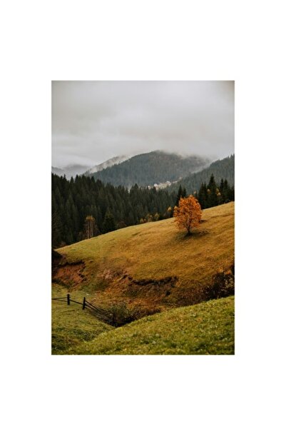 OEM Tablou Canvas Premium 'Peisaj Mistic de Toamna'