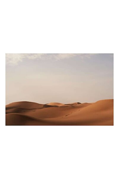 OEM Tablou Canvas, Premium, Panza Bumbac, Sasiu Lemn, 90 x 50 cm