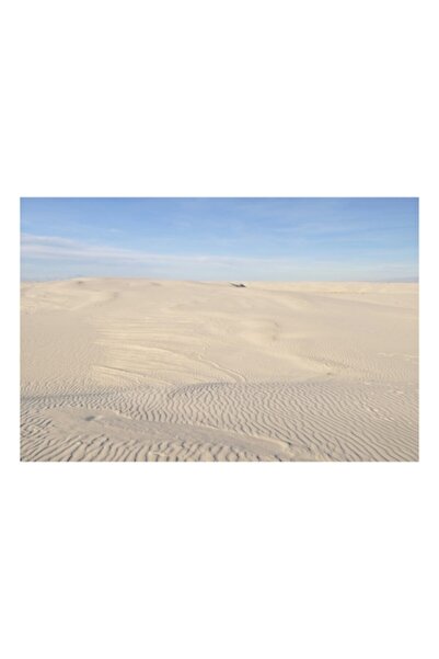 OEM Tablou Canvas, 'Dunele vaste ale desertului linistit', 70 x 50cm