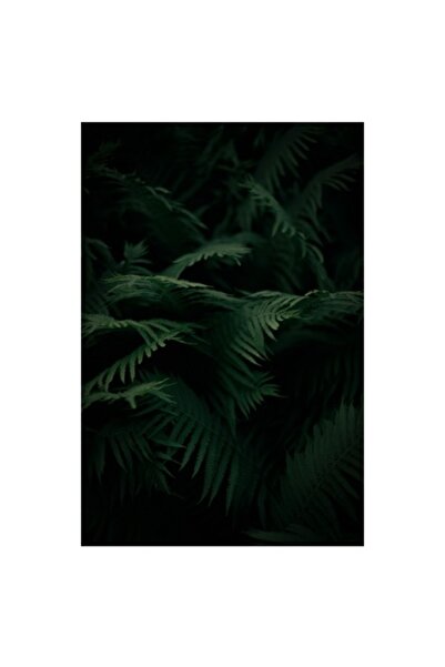 OEM Pictură pe pânză „Frunziș de ferigă într-o pădure misterioasă”