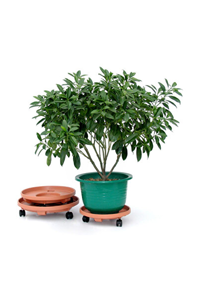 SERENE Premium Quality Mobile Platform Round Plant Caddy with Wheels