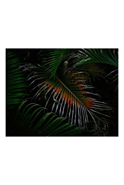 OEM Pictură pe pânză, „Frunză exotică în umbra nopții”, 100 x 100 cm