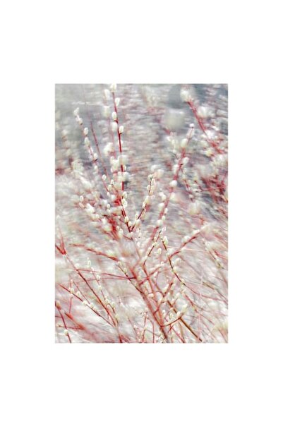 OEM Tablou Canvas, "Dansul primaverii printre crengi firave", 100 x 100cm