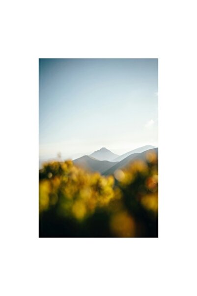 OEM Pictură pe pânză „Vârf ascuns printre dealuri aurii”, Munți, Verdeață, Cer albastru, Lumină, 39 x 54cm