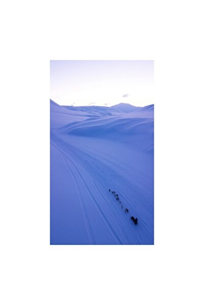 OEM Tablou Canvas, "Sanii trase de caini in zori", 26 x 39cm