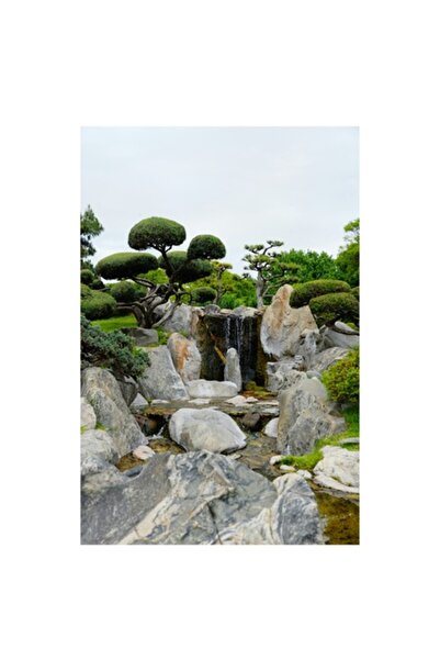 OEM Pictură pe pânză, „Grădina seninătății cu copaci sculptați”, Liniște, Apă...