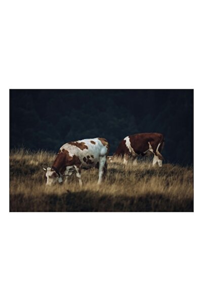 OEM Tablou Canvas, "Vaci pascand in lumina serii", 39 x 26cm