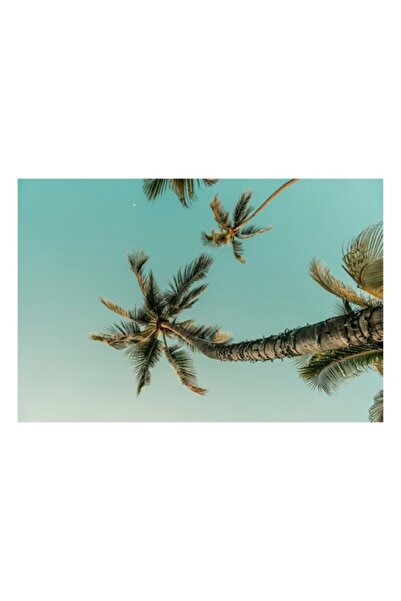 OEM Tablou Canvas, Prieteniile vantului si palierelor tropicale, Cer, Palme, ...