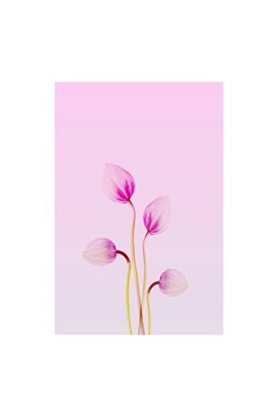 OEM Tablou Canvas, Corole roz spre lumina diminetii