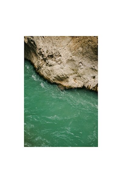 OEM Tablou Canvas, Premium, Panza Bumbac, Sasiu Lemn