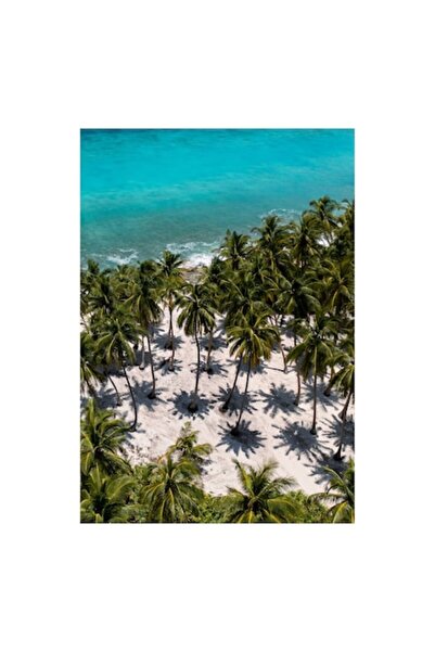 OEM Pictură pe pânză, „Umbre de palmier pe nisip alb”, 50x70 cm
