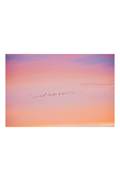 OEM Pictură pe pânză, „Zbor de pasăre în amurg pastelat”, Apus de soare, păsă...