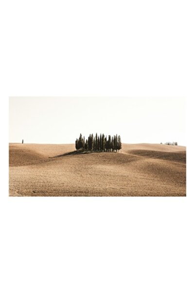 OEM Tablou Canvas, 'Tărâmul solemn al chiparoșilor solitari', Grup, Copaci, Dealuri, Pustie, Serenita