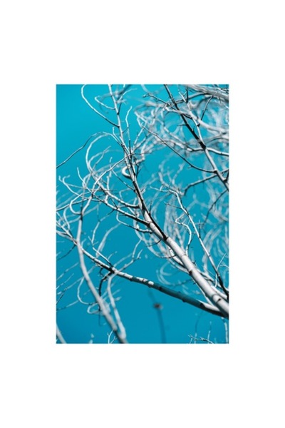 OEM Tablou Canvas, 'Crengile albastre ale cerului senin'