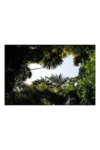 OEM Pictură pe pânză, „Cerul văzut prin frunze tropicale”, 50 x 50 cm